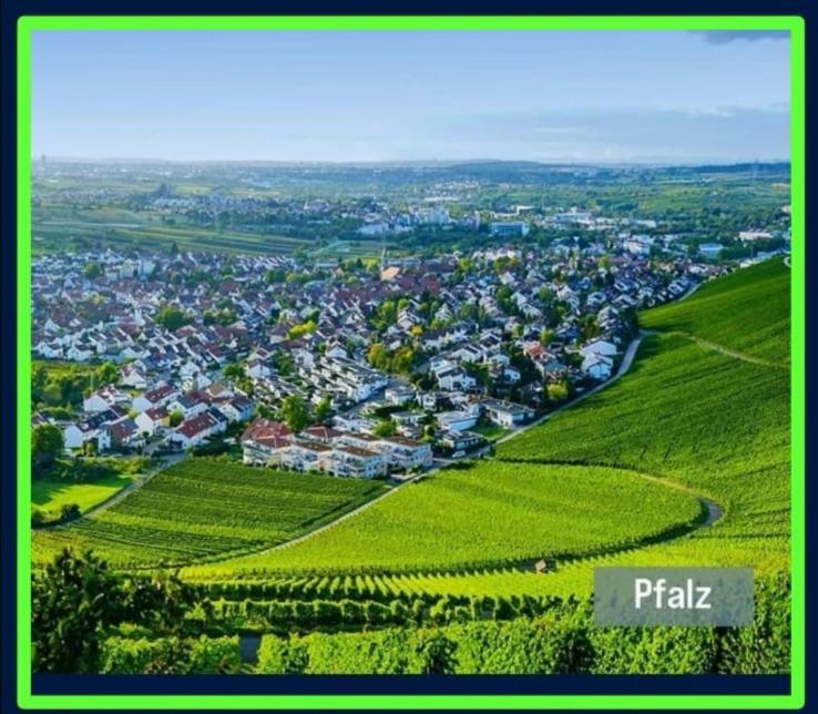 Forest & Wein Appartement